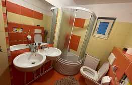 Apartament de 2 camere, 40 mp, acces la curte, zona strazii Romul Ladea