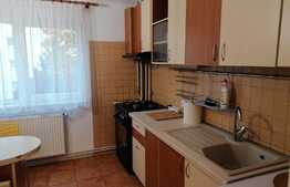 Apartament de 3 camere, 75mp, petfriendly, zona strazii Arinilor