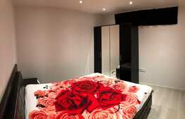 Apartament decomandat, 2 camere, gradina, parcare, zona Vivo!