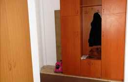 Inchiriere apartament cu 1 camera, 40 mp utili, zona ANL