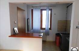 Inchiriere apartament cu 1 camera, 40 mp utili, zona ANL
