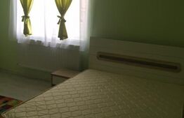 Apartament 1 camera la casa, 35 mp, zona strazii Marasesti