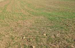 Teren intravilan in zona strazii Iazului