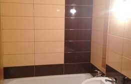 1 camera, 32 mp utili, zona strazii Parang