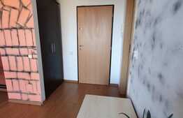 Apartament 2 camere semidecomandat 48mp, Iris