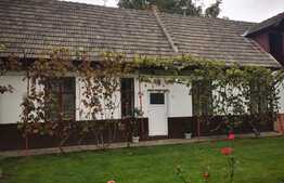 Casa de 600 mp utili, curte generoasa, 2000 mp teren, in Sanpetru!