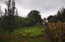 Casa de 600 mp utili, curte generoasa, 2000 mp teren, in Sanpetru!