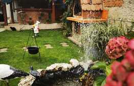 Casa de 600 mp utili, curte generoasa, 2000 mp teren, in Sanpetru!