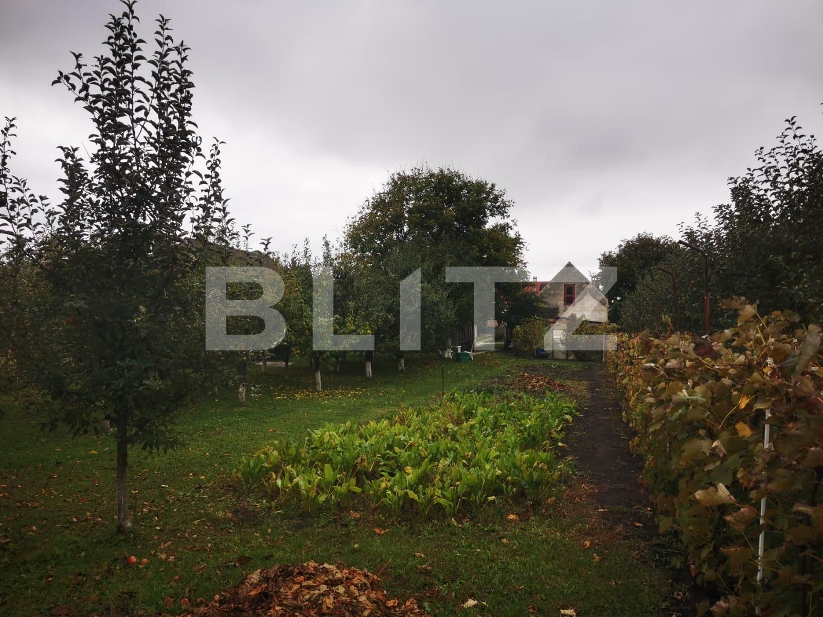 Casa de vânzare 7 camere Sanpetru - 74120CV | BLITZ Brașov | Poza6