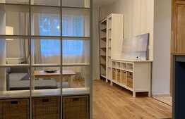 Apartament 2 camere, 50 mp, pet friendly, zona strazii Liviu Rebreanu 