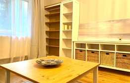 Apartament 2 camere, 50 mp, pet friendly, zona strazii Liviu Rebreanu 