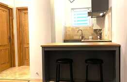 Apartament 2 camere, 50 mp, pet friendly, zona strazii Liviu Rebreanu 