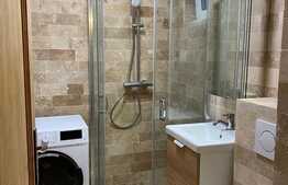 Apartament 2 camere, 50 mp, pet friendly, zona strazii Liviu Rebreanu 