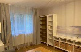 Apartament 2 camere, 50 mp, pet friendly, zona strazii Liviu Rebreanu 