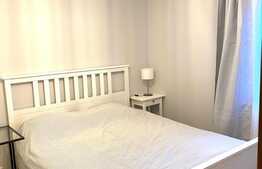 Apartament 2 camere, 50 mp, pet friendly, zona strazii Liviu Rebreanu 