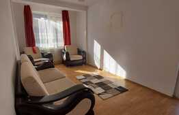 Apartament de 2 camere, la cheie, 50 mp, zona Teilor