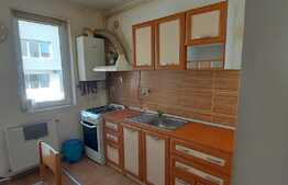 Apartament de 2 camere, la cheie, 50 mp, zona Teilor
