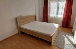 Apartament de 2 camere, la cheie, 50 mp, zona Teilor