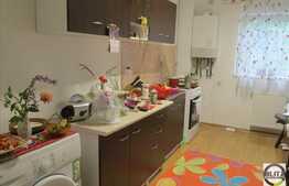 1 camera, 45 mp, decomandat, garaj, zona Valea Garbaului!