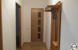 1 camera, 45 mp, decomandat, garaj, zona Valea Garbaului!