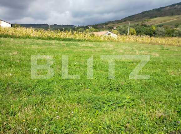 Teren de vânzare Chinteni - 74188TV | BLITZ Cluj-Napoca | Poza1