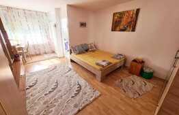 Garsoniera cocheta, luminoasa, 32mp, zona Parang