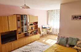 Garsoniera cocheta, luminoasa, 32mp, zona Parang