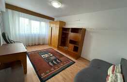 Garsoniera de inchiriat, 25 mp, decomandata, zona Piata Marasti