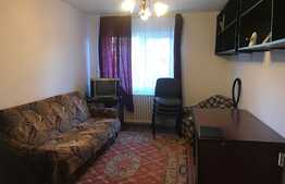 Apartament 2 camere, 40 mp, pet friendly, zona Casa Piratilor