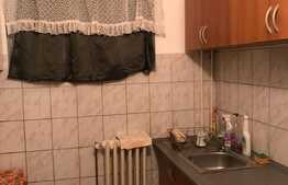 Apartament 2 camere, 40 mp, pet friendly, zona Casa Piratilor