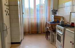 Apartament 2 camere , etaj intermediar, baie cu geam! zona Pietei Flora!