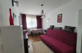 Garsoniera de 22 mp, AC, recent renovata, zona The Office