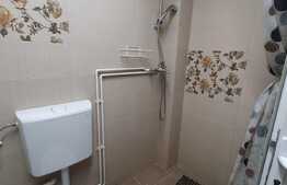 Garsoniera de 22 mp, AC, recent renovata, zona The Office