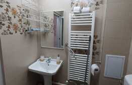 Garsoniera de 22 mp, AC, recent renovata, zona The Office