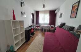 Garsoniera de 22 mp, AC, recent renovata, zona The Office