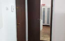 Garsoniera de 22 mp, AC, recent renovata, zona The Office