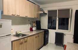 Apartament 2 camere, pet friendly, 45 mp, zona Big Manastur 