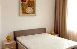 Apartament de exceptie 120 mp, 3 camere, mobilat lux, terasa, zona Piata Engels