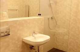 Apartament de exceptie 120 mp, 3 camere, mobilat lux, terasa, zona Piata Engels