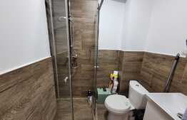 Garsoniera de vanzare de 21 mp, recent renovata, posibilitate de preluare chiriasi, zona Fabricii de Zahar!