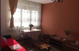 Apartament recent renovat, 2 camere, 50 mp, zona Gării