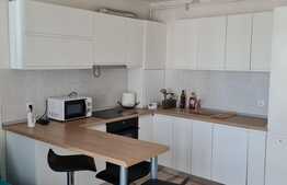 Apartament 3 camere, modern, 55 mp, zona Leroy Merlin