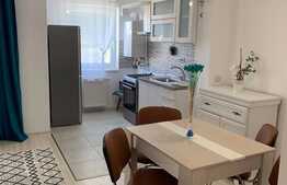 Studio 2 camere, 50 mp, boxa, Top City!