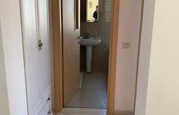 Studio 2 camere, 50 mp, boxa, Top City!