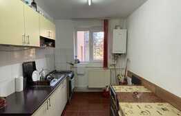 Apartament cu 2 camere, 55 mp, zona Iulius Mall