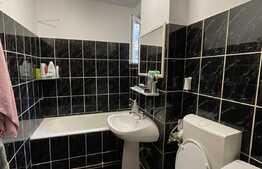 Apartament cu 2 camere, 55 mp, zona Iulius Mall