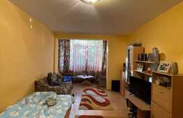 Apartament cu 2 camere, 55 mp, zona Iulius Mall
