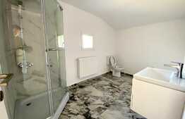 Oportunitate investitie: Casa 300 mp utili, inchiriata pe termen lung, cartier IRIS