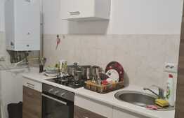 Studio de 40 mp utili, balcon de 7.5 mp, zona Sanpetru