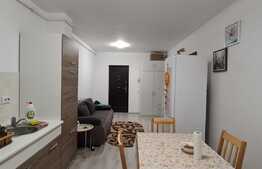 Studio de 40 mp utili, balcon de 7.5 mp, zona Sanpetru